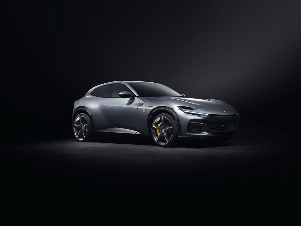 푸로산게 이미지