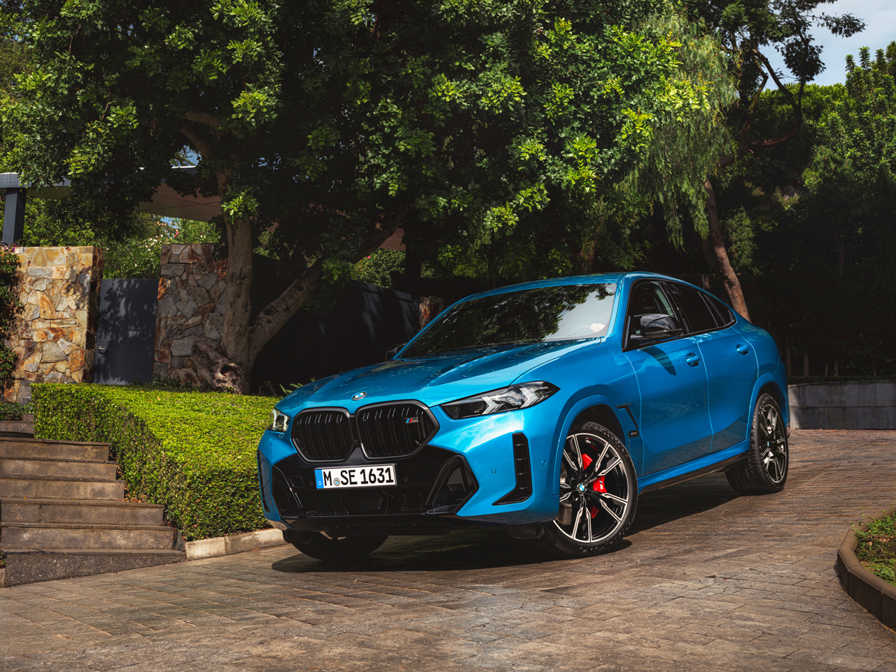 X6 xDrive40i 이미지