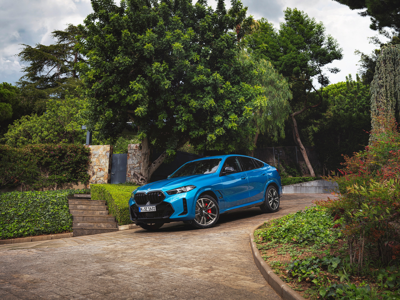 X6 xDrive40i 이미지