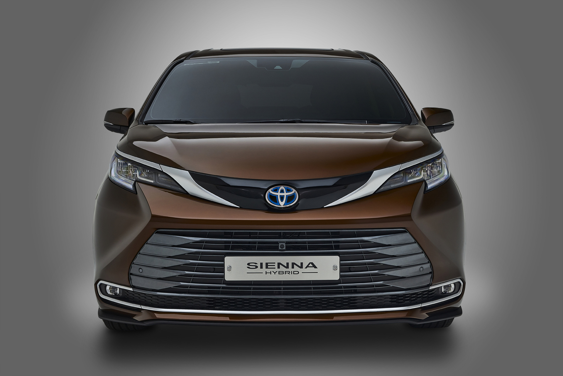 시에나 하이브리드 이미지