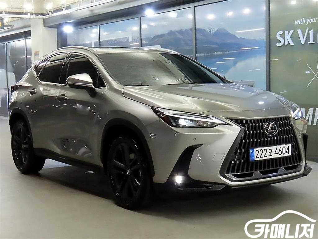 렉서스 NX 350h 프리미엄