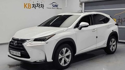 렉서스 NX 300h 이그제큐티브
