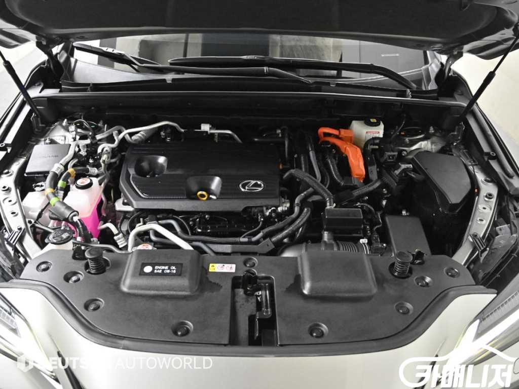 렉서스 NX 450h+ F 스포츠 썸네일 6