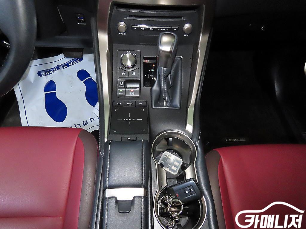 렉서스 NX 300h 슈프림 썸네일 12