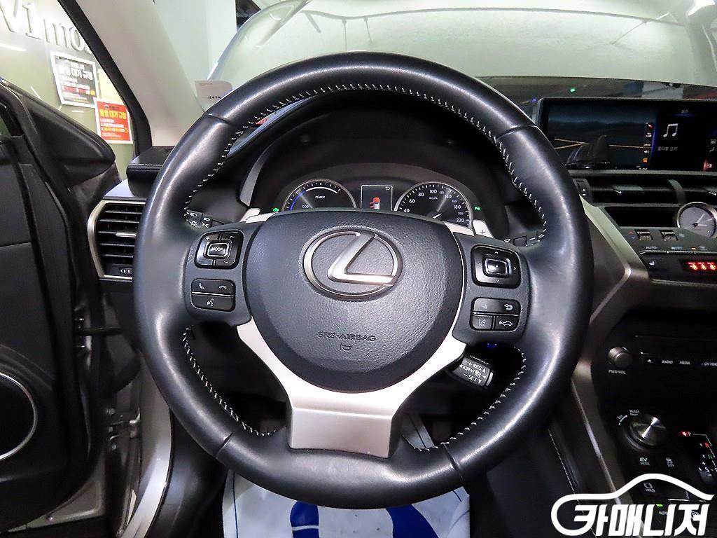 렉서스 NX 300h 슈프림 썸네일 8