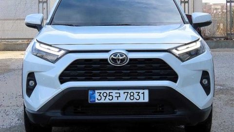 토요타 RAV4(5세대) 2.5 2WD 하이브리드 XLE