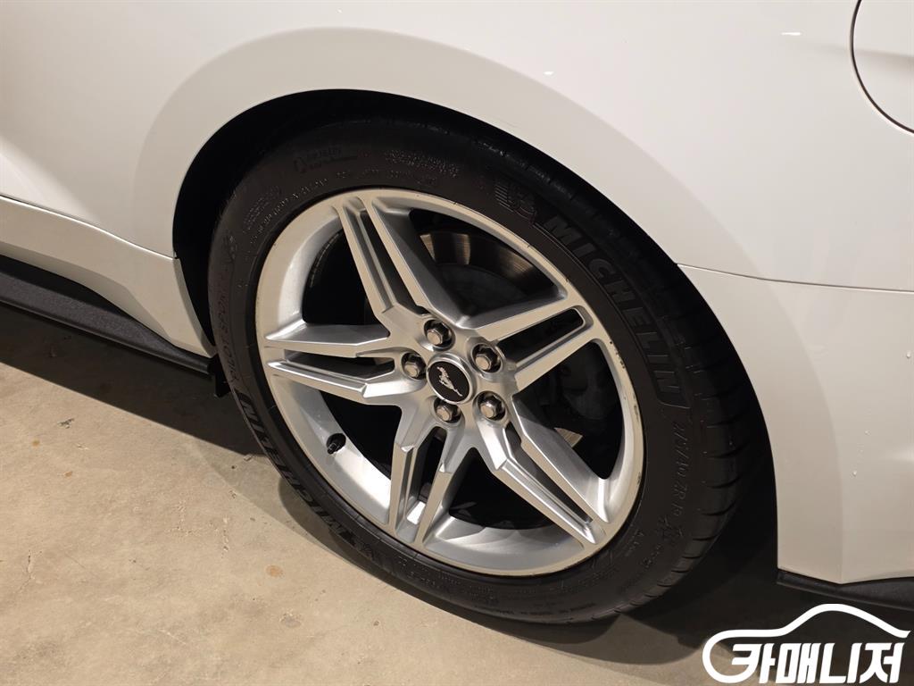 포드 머스탱 6세대 5.0 GT 컨버터블 썸네일 5