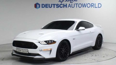 포드 머스탱 6세대 5.0 GT 쿠페