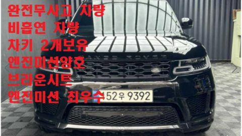 랜드로버 레인지로버 스포츠 2세대 3.0 SDV6 AB 다이나믹