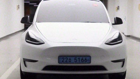 테슬라 모델 Y 스탠다드 레인지