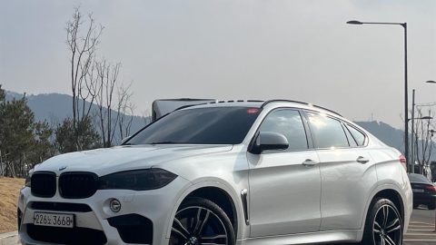BMW X6 M (E71) X6 M