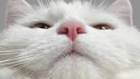 우리폐차 [테스트]