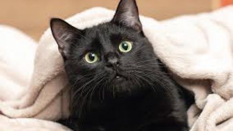 우리수출 [테스트]